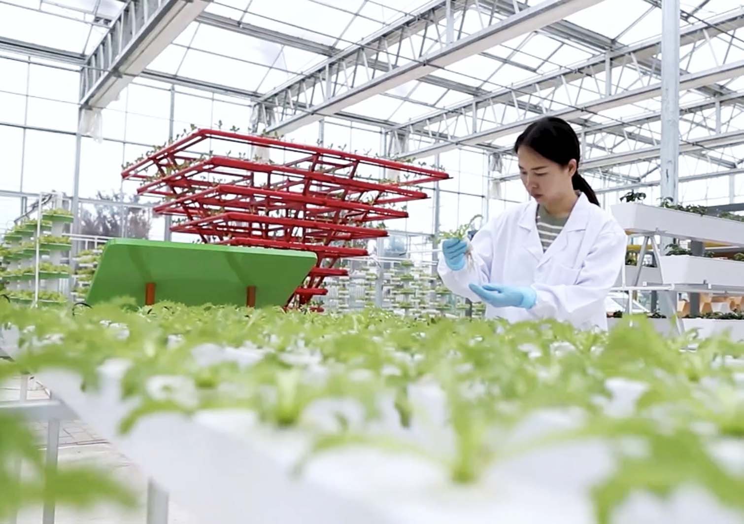 2025年度绍兴市农业技术与农业工程专业正高级、高级专业技术职务任职资格审核、评审推荐评前公示