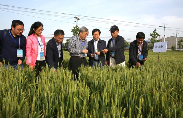 江苏省公共资源交易网