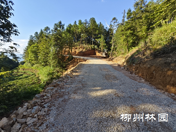 加强林区道路建设 助推林业产业发展